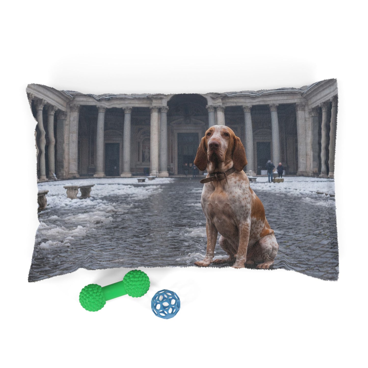Bracco Italiano Pet Bed