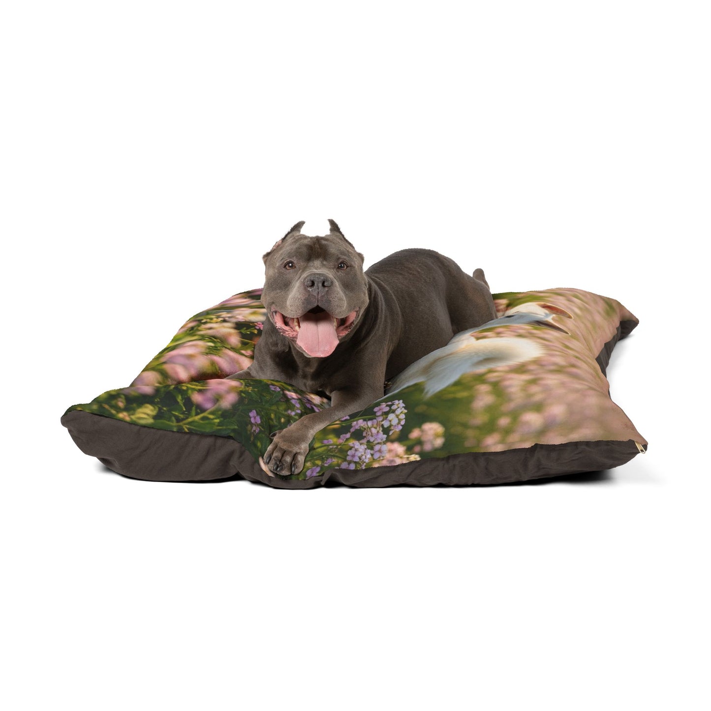 Kishu Ken Pet Bed