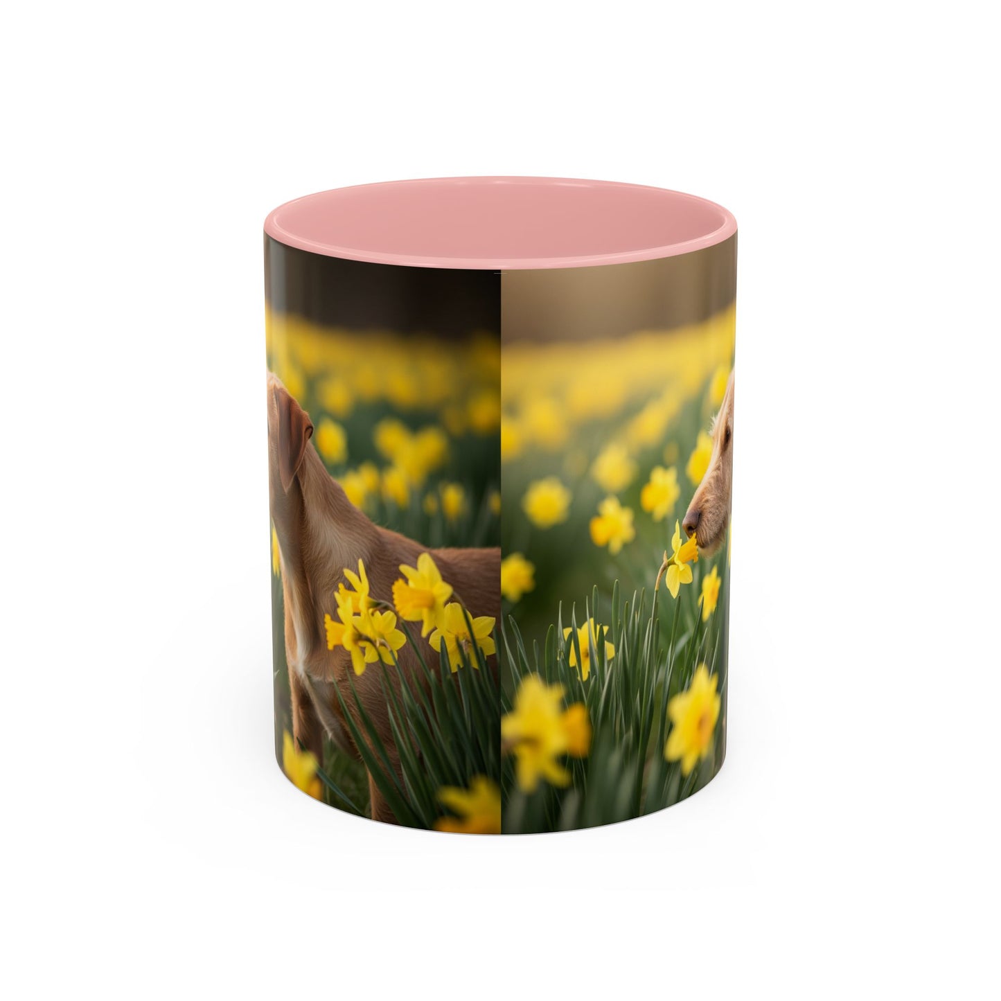 Mug à café avec motif Podengo Pequeno portugais - Cadeau idéal pour les amoureux des chiens