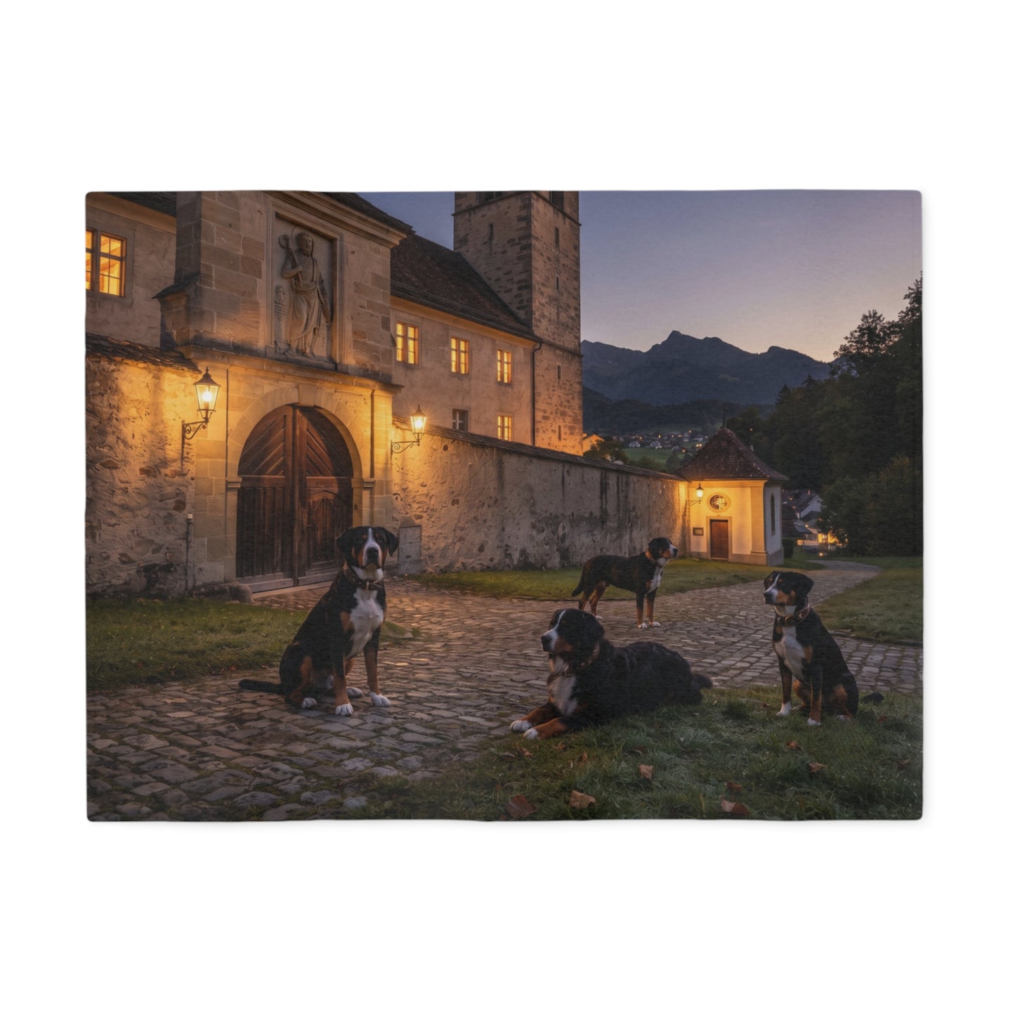 Sennenhund Blanket