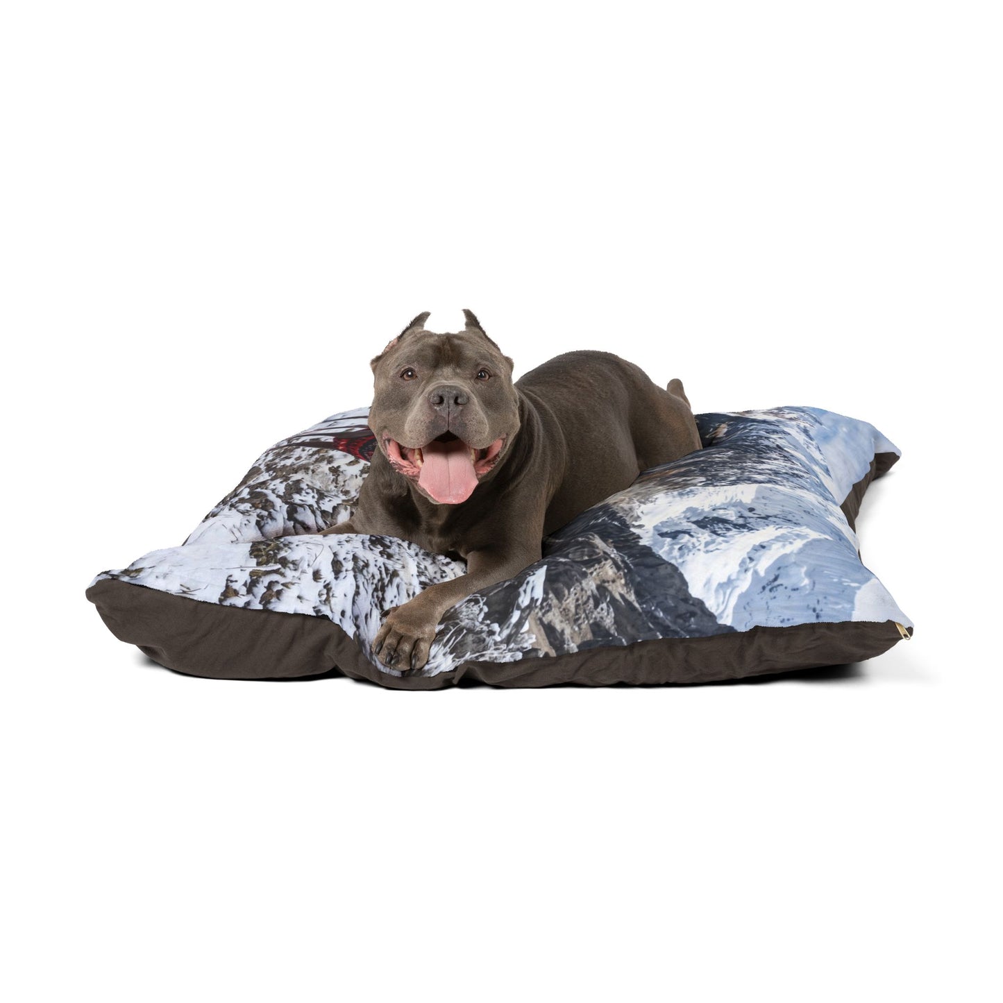 Peruvian Hairless Dog Pet Bed