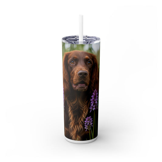 Pont-Audemer Spaniel Tumbler with Straw, 20oz