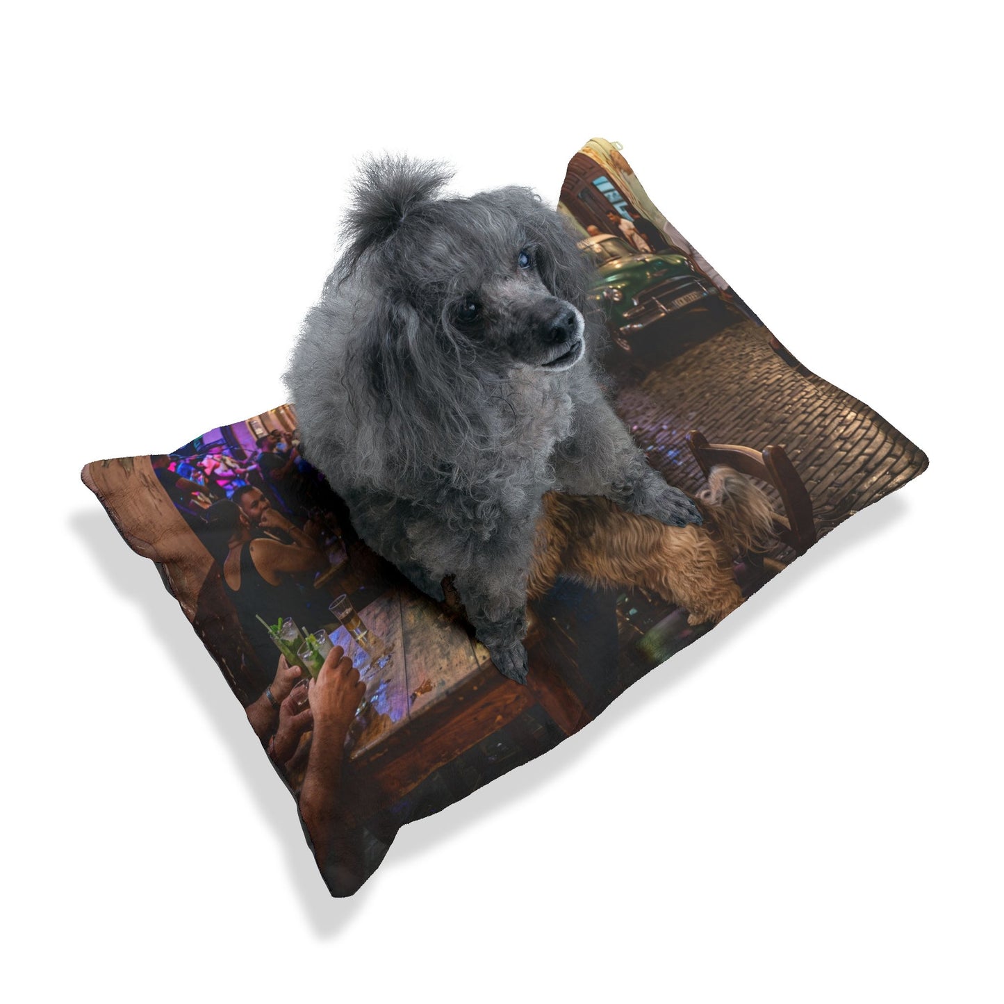 Havanese Pet Bed