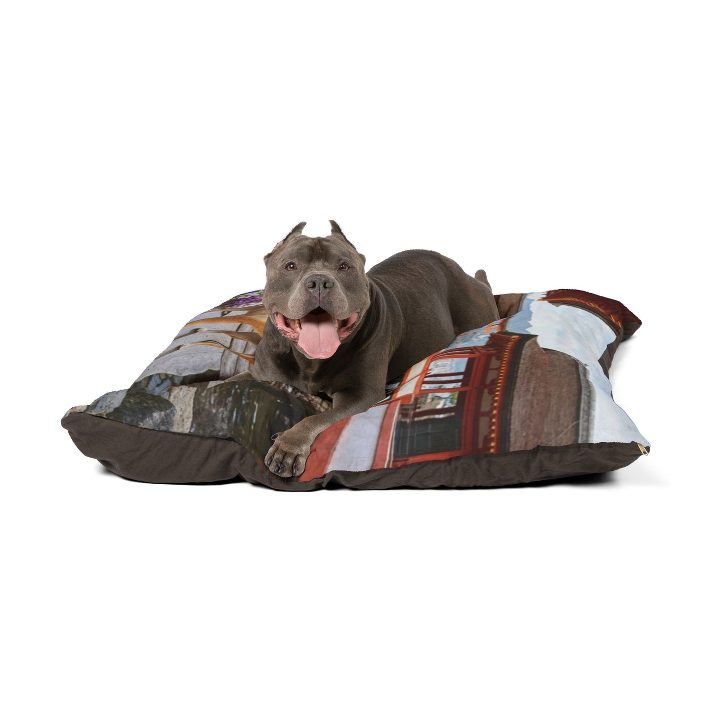 Shiba Inu Pet Bed