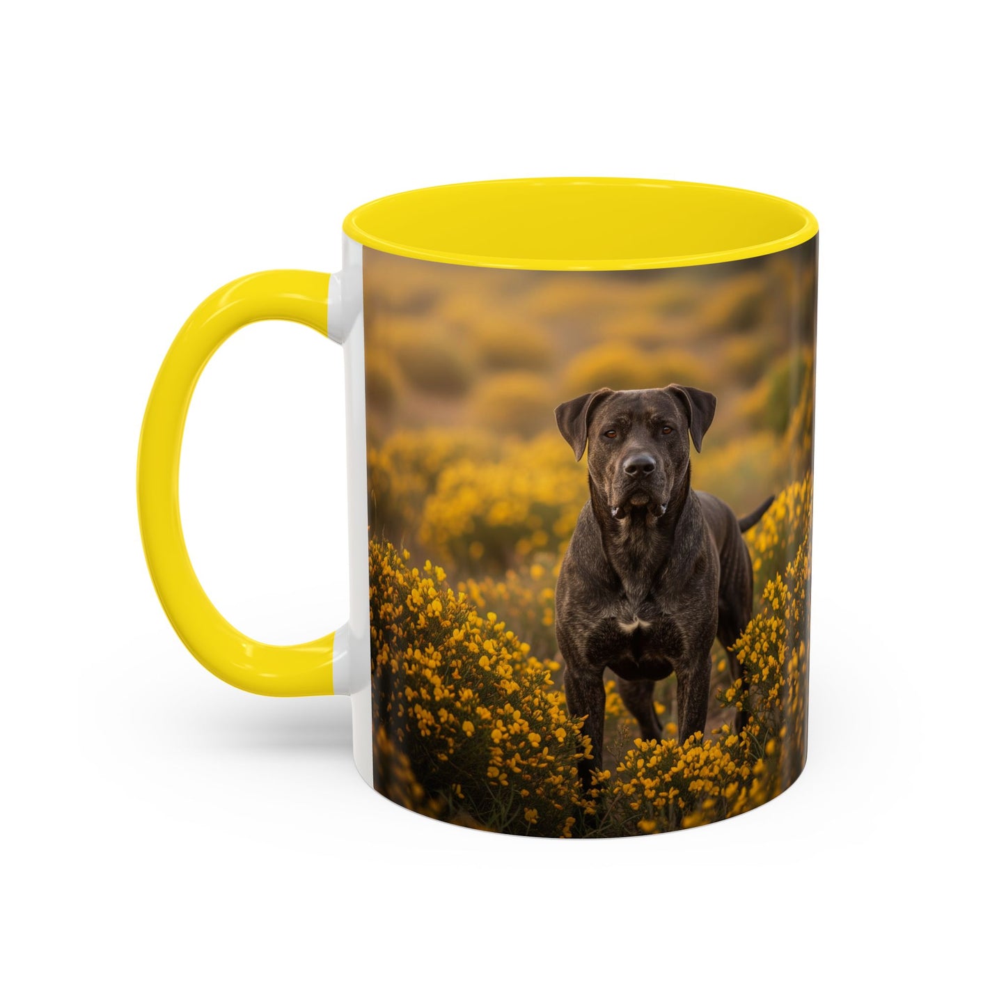 Mug Rafeiro do Alentejo Accent Coffee - Cadeau idéal pour les amoureux des chiens