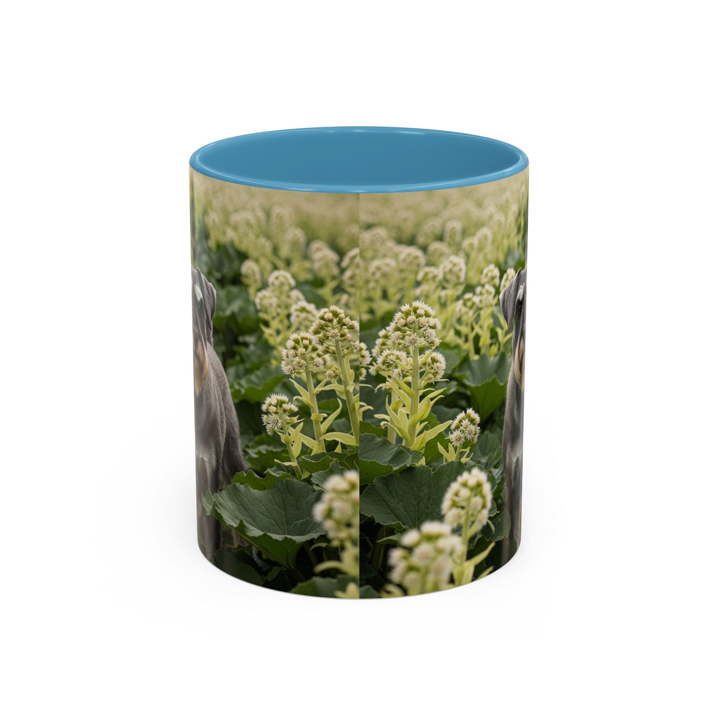 Mug à café avec motif Schnauzer standard - Cadeau idéal pour les amoureux des chiens