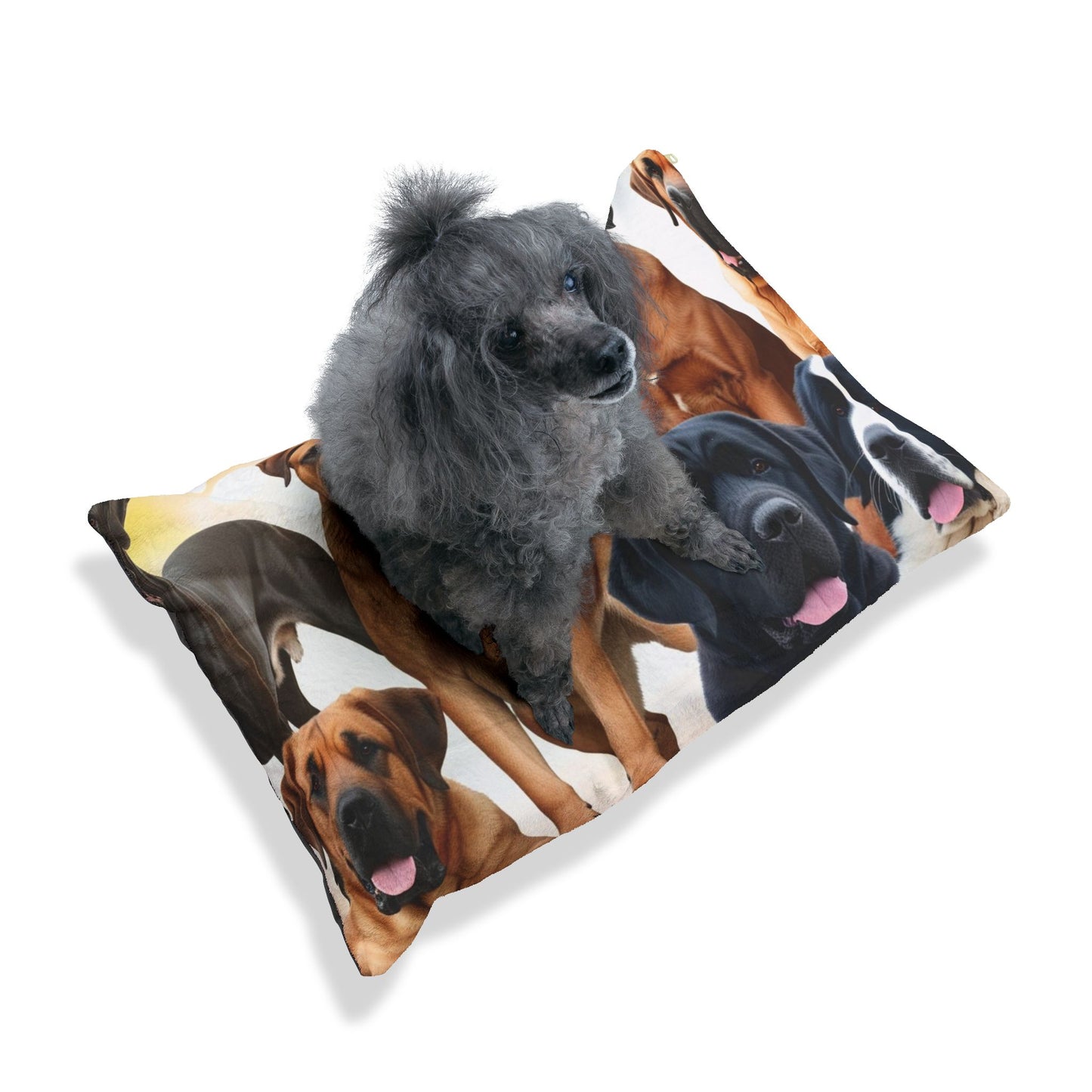 Big Dogs Pet Bed