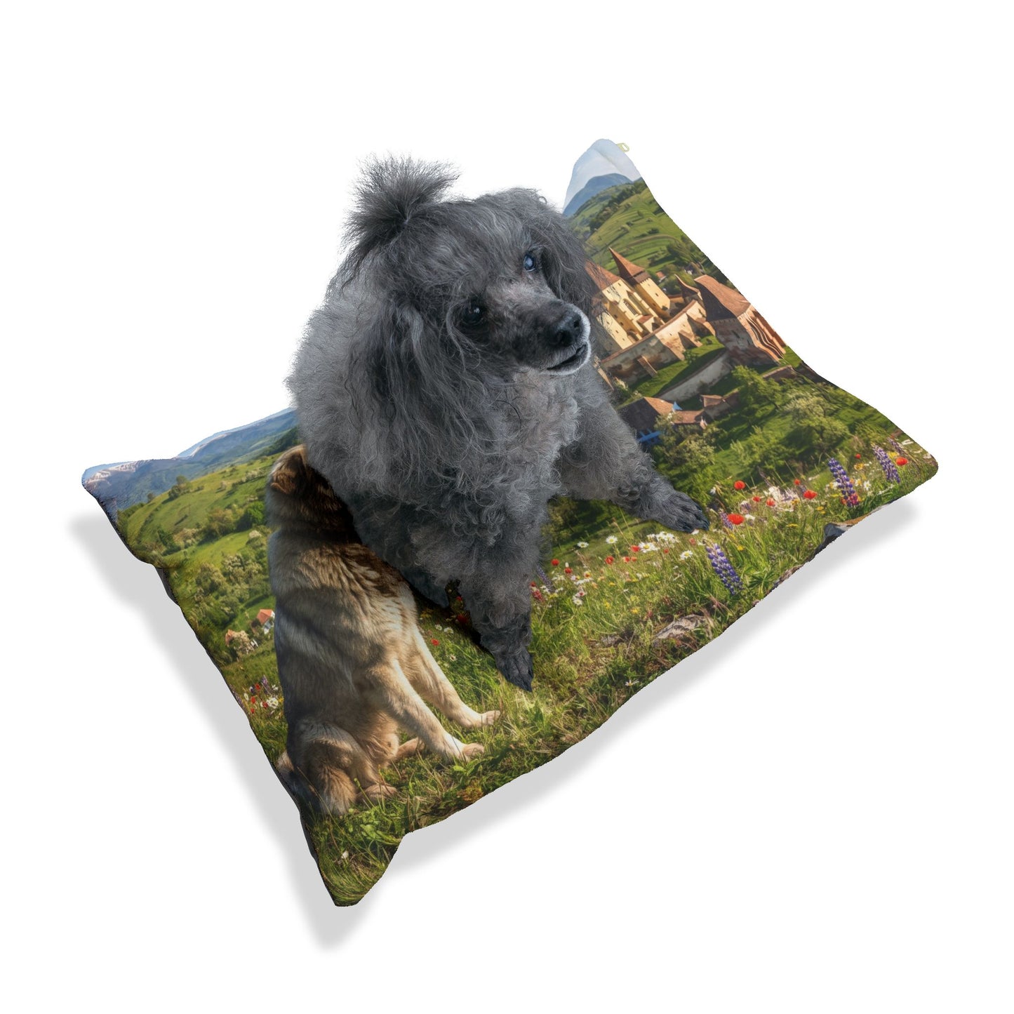 Romanian Carpathian Shepherd Dog Pet Bed