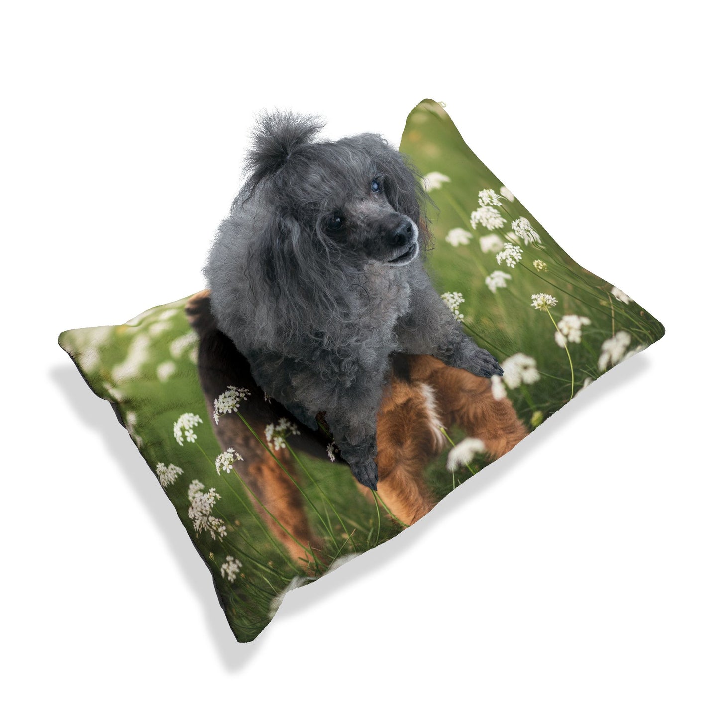 Lakeland Terrier Pet Bed