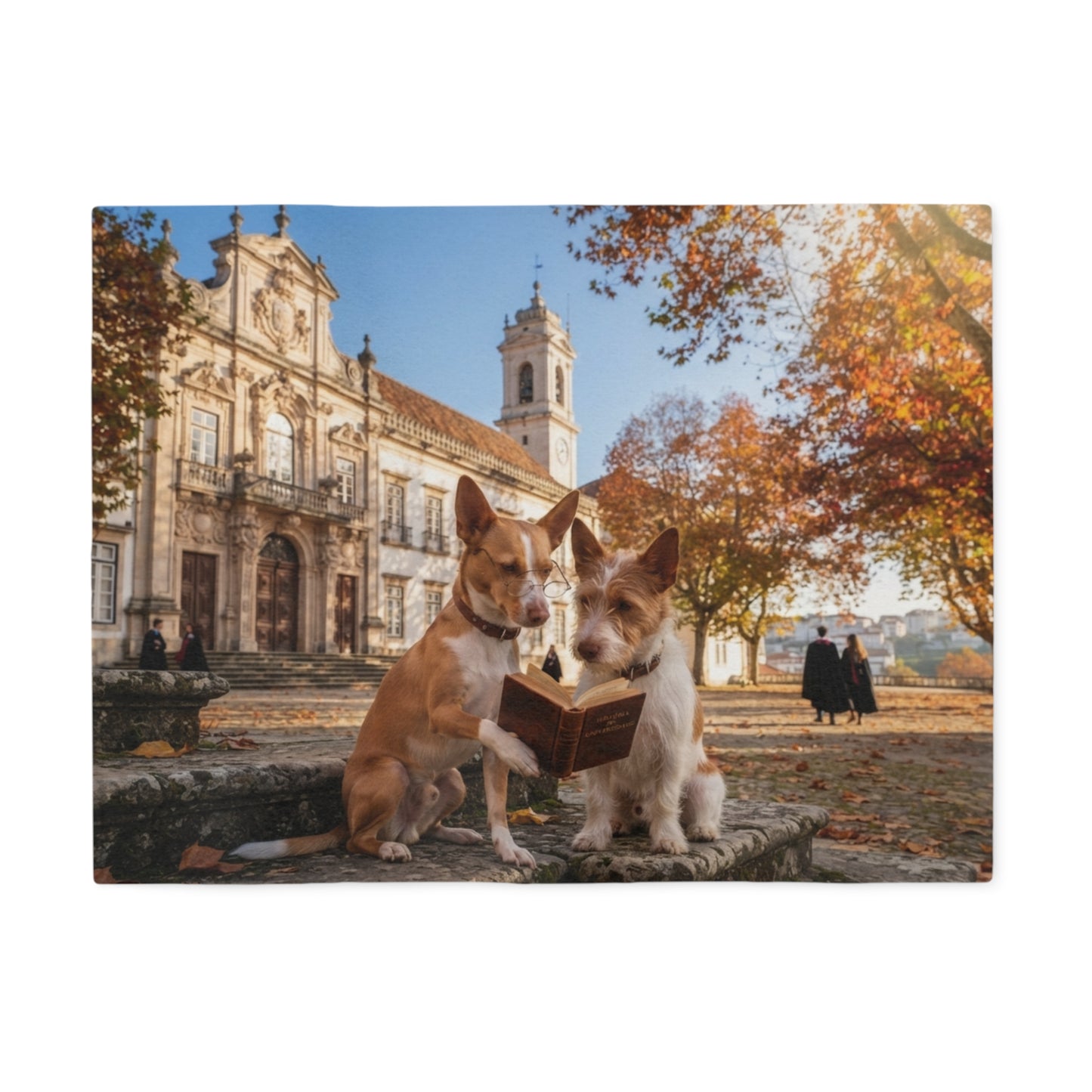 Portuguese Podengo Blanket