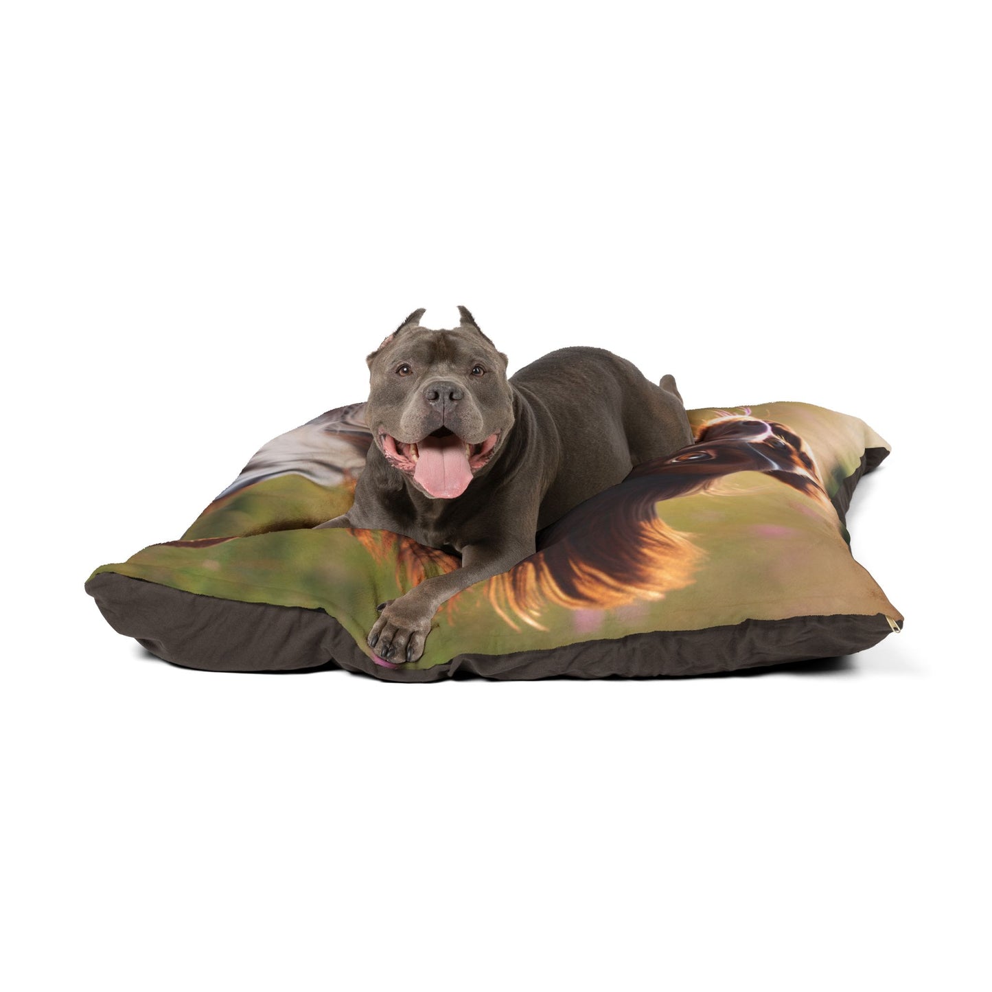 Petit lit pour animaux de compagnie Munsterlander