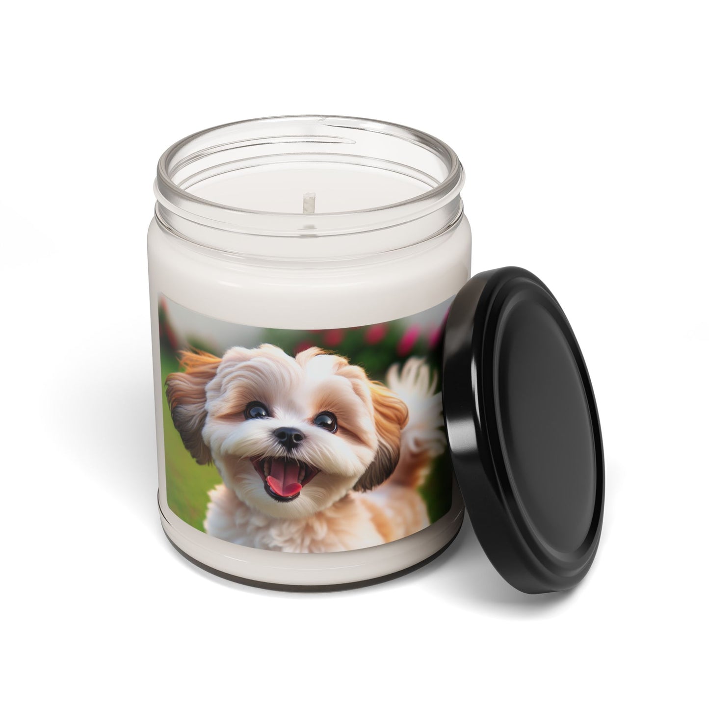 Shih-poo- Scented Soy Candle, 9oz