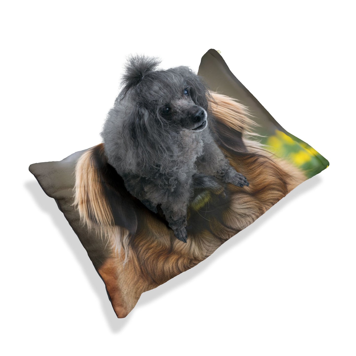 Leonberger Pet Bed