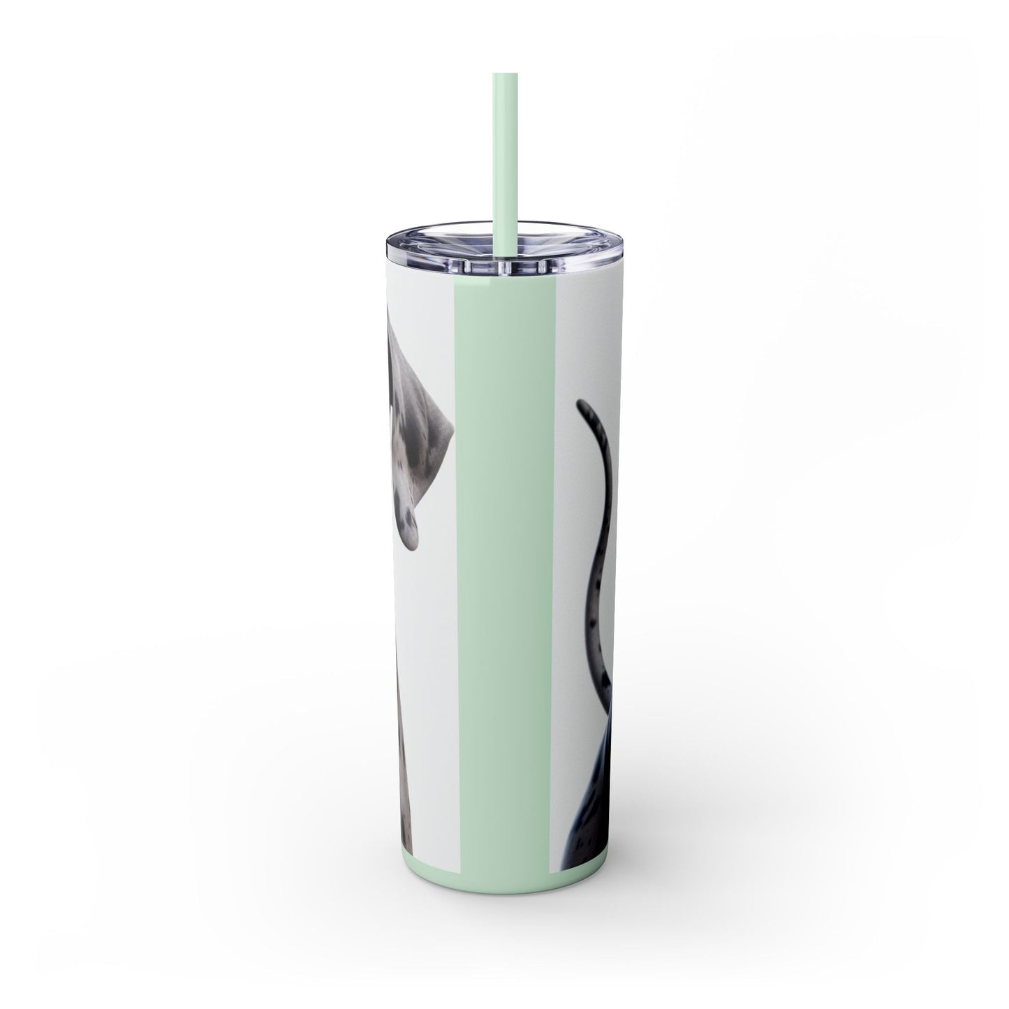 Great Dane Tumbler with Straw, 20oz