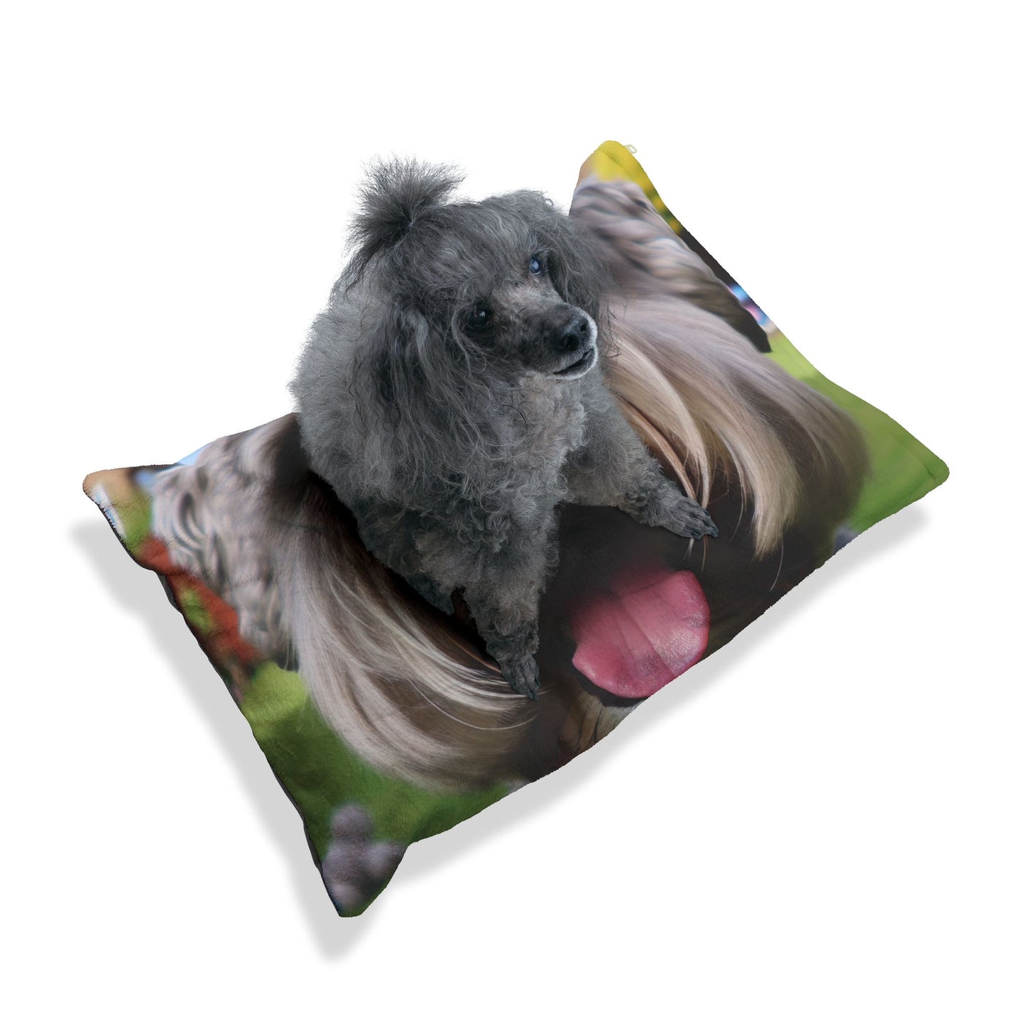 Schnoodle Pet Bed