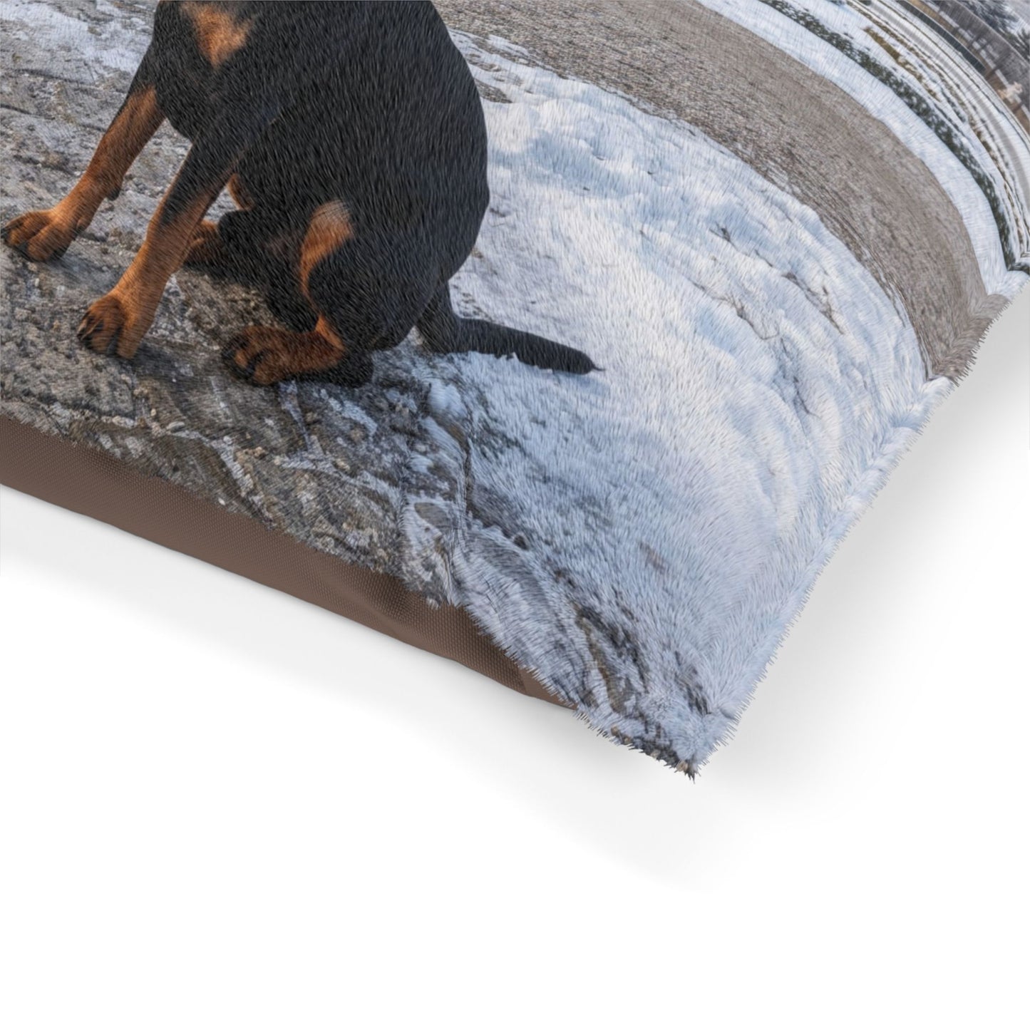 Austrian Black and Tan Hound Pet Bed
