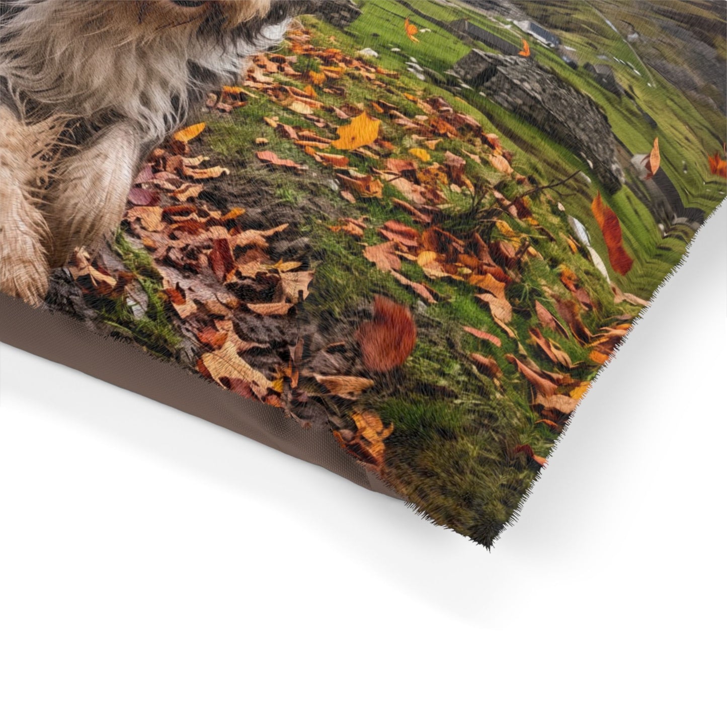Bearded Collie Pet Bed