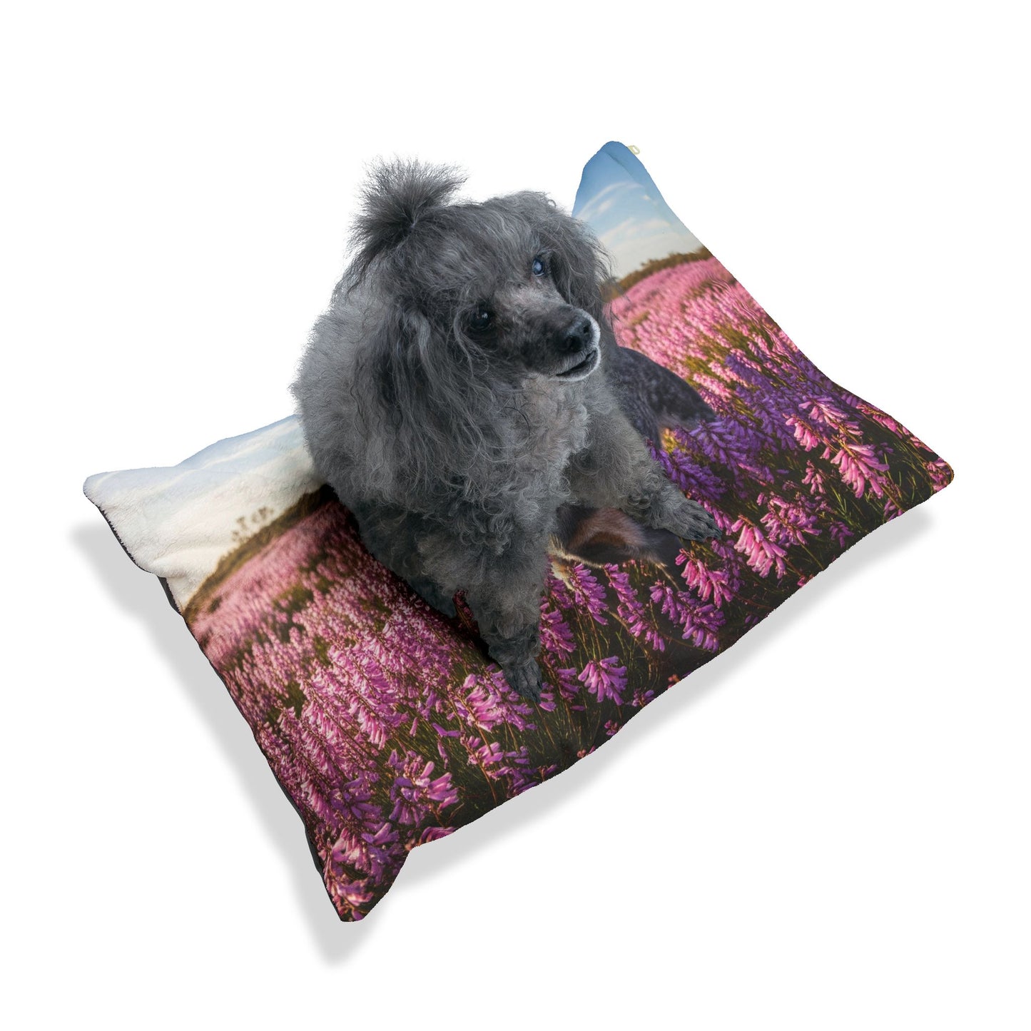 Australian Stumpy Tail Cattle Dog Pet Bed
