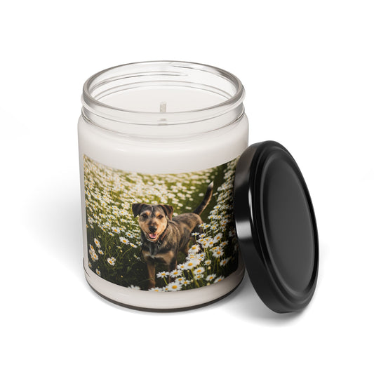 Danish-Swedish Farmdog- Scented Soy Candle, 9oz