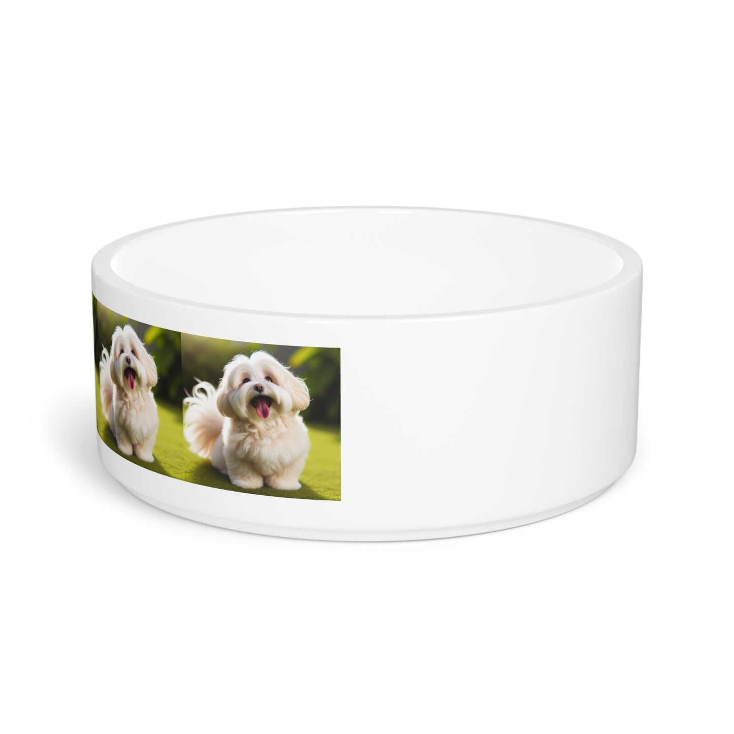 Havanese Pet Bowl