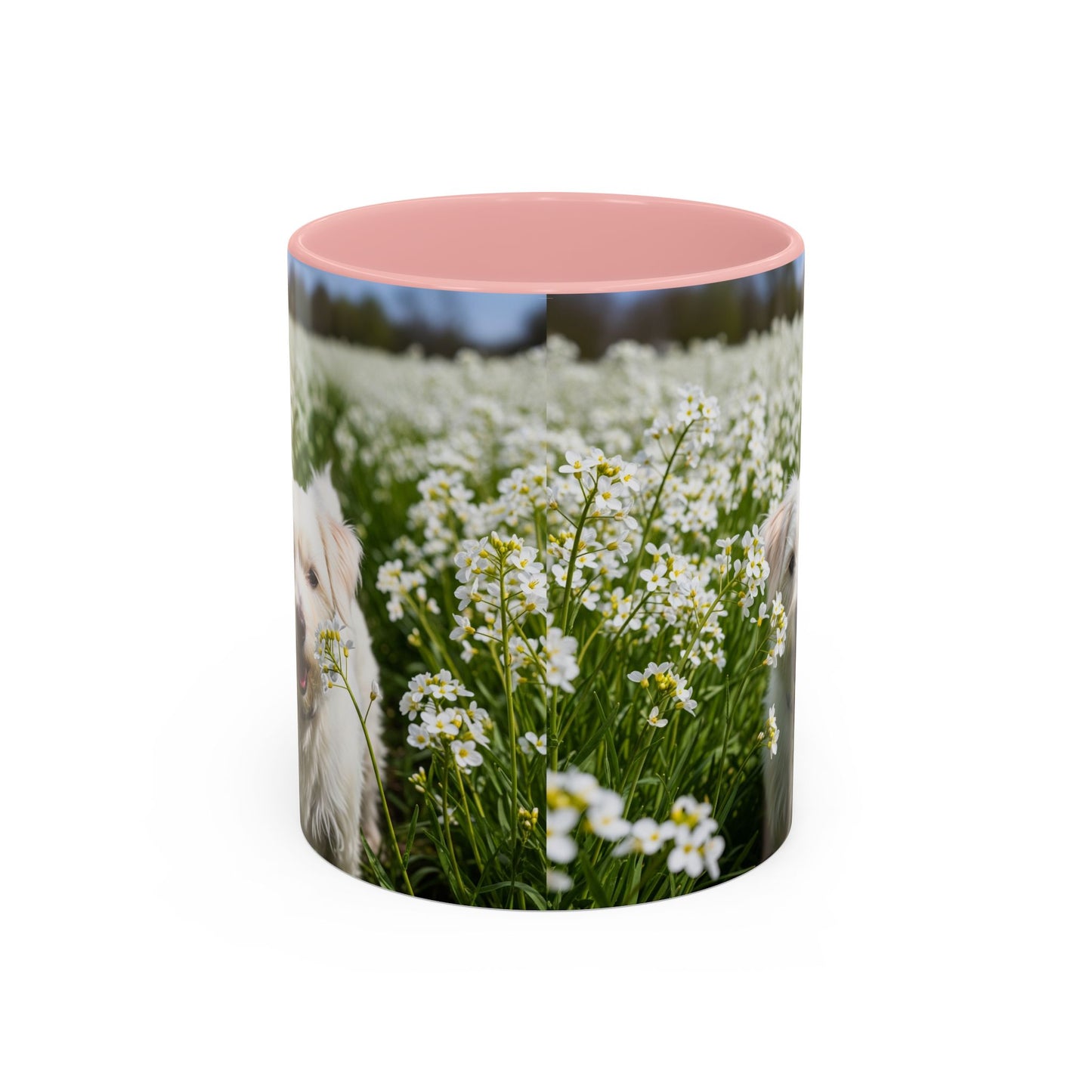 Taza de café con acento Kromfohrlander: el regalo perfecto para los amantes de los perros