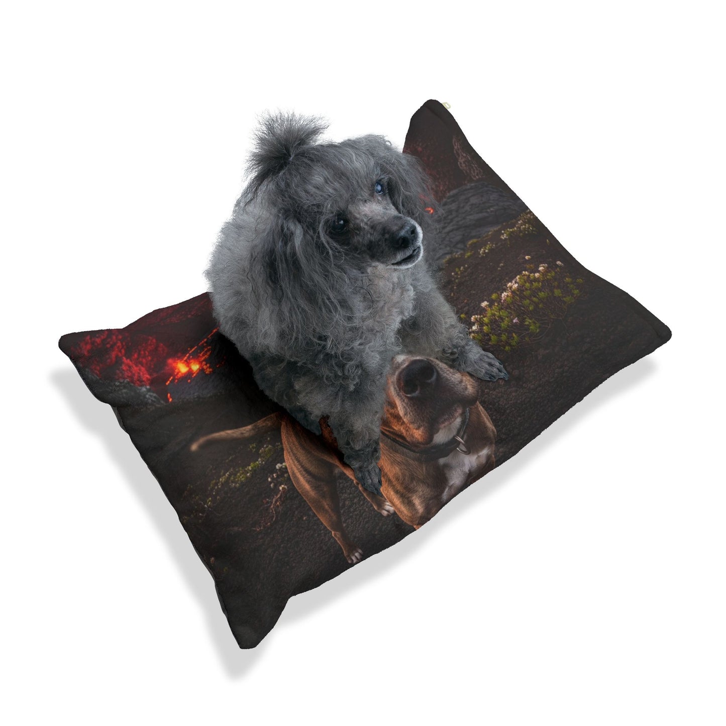 Pit Bull Pet Bed