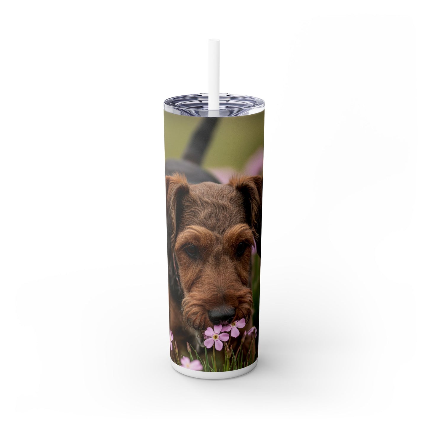 Gobelet isotherme Cesky Terrier avec paille, 590 ml