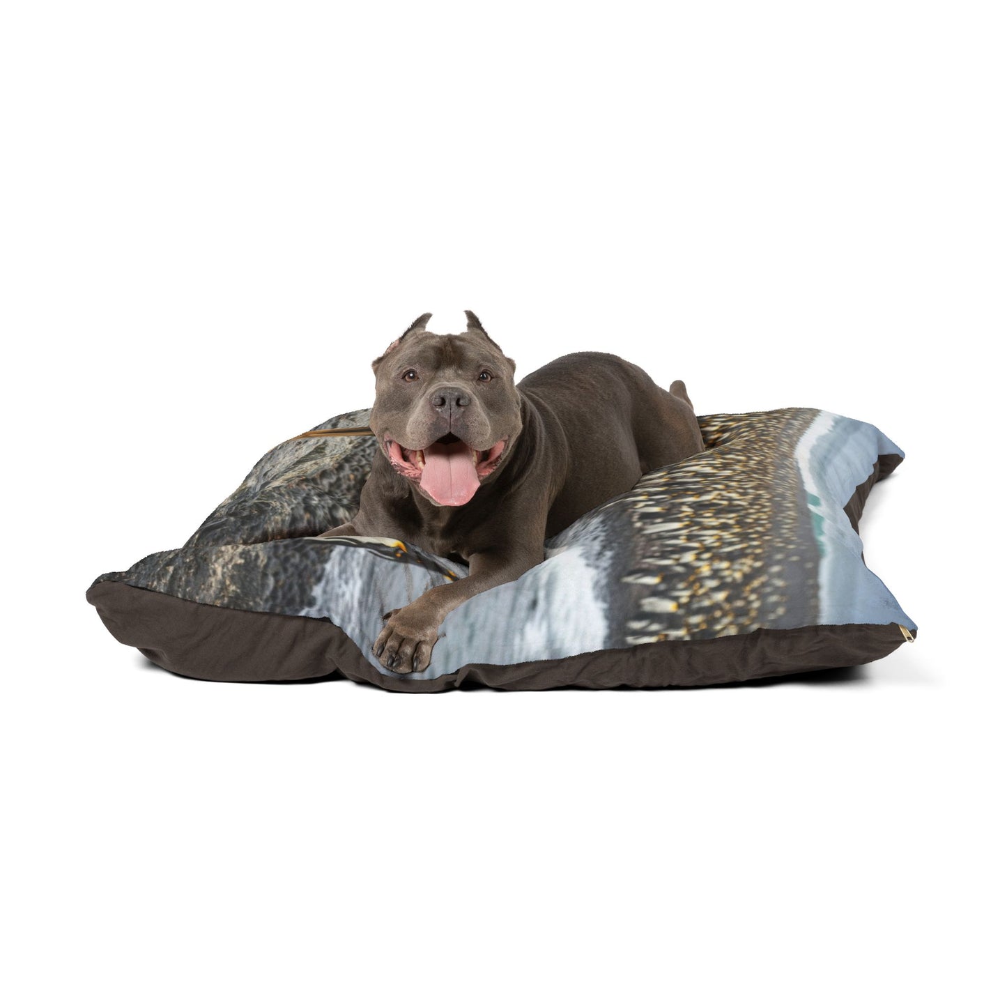 Australian Kelpie Pet Bed