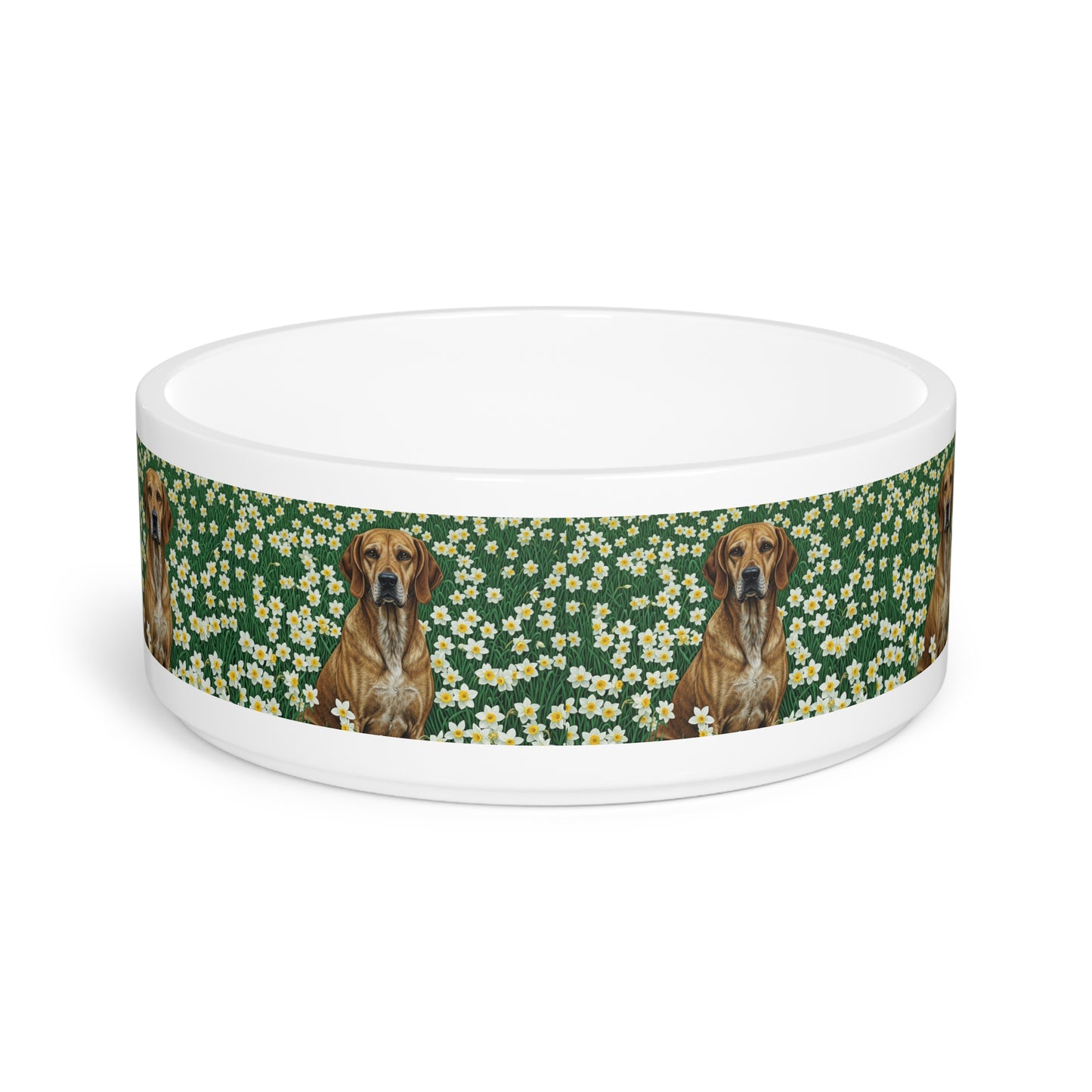Porcelaine Pet Bowl