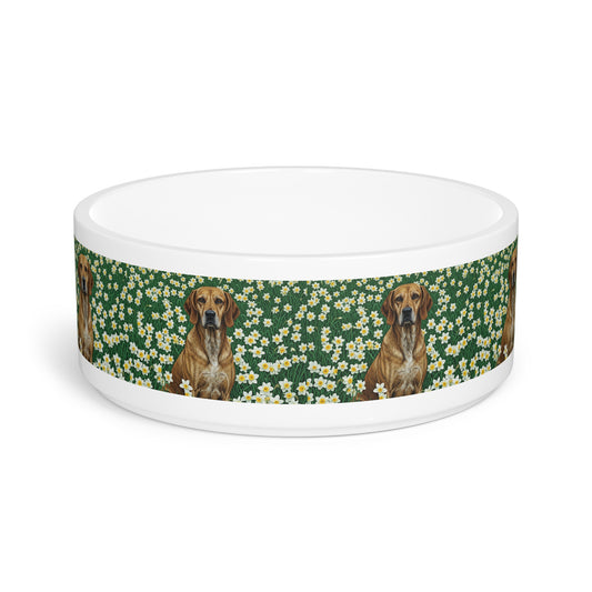 Porcelaine Pet Bowl