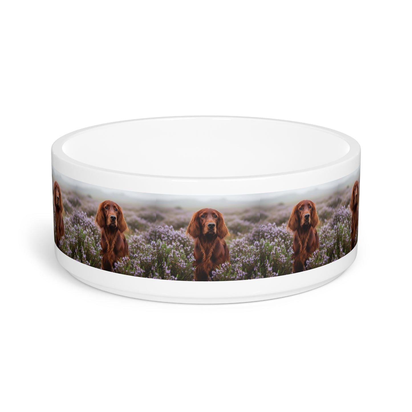 Gamelle pour animaux de compagnie Irish Setter