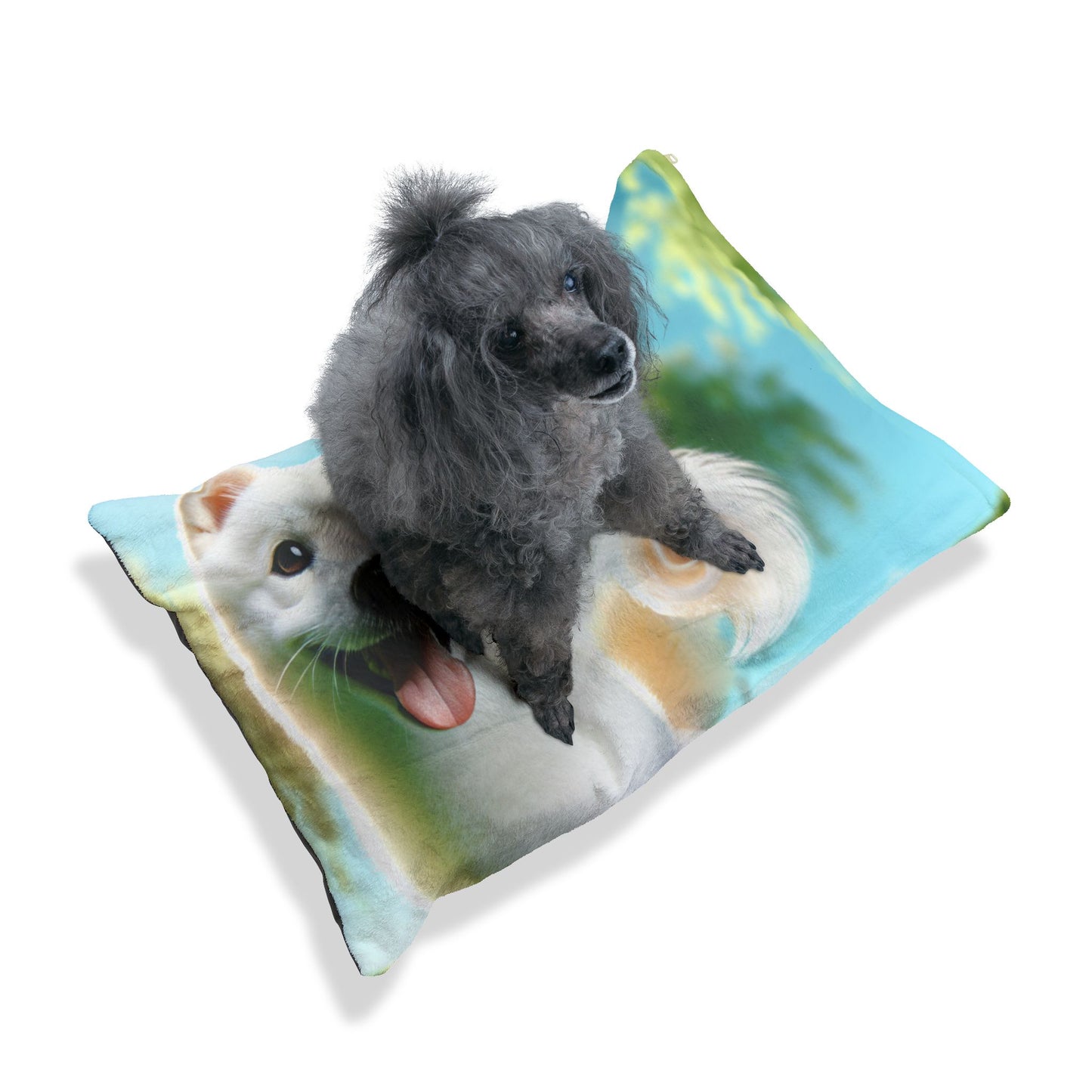 Kishu Ken Pet Bed
