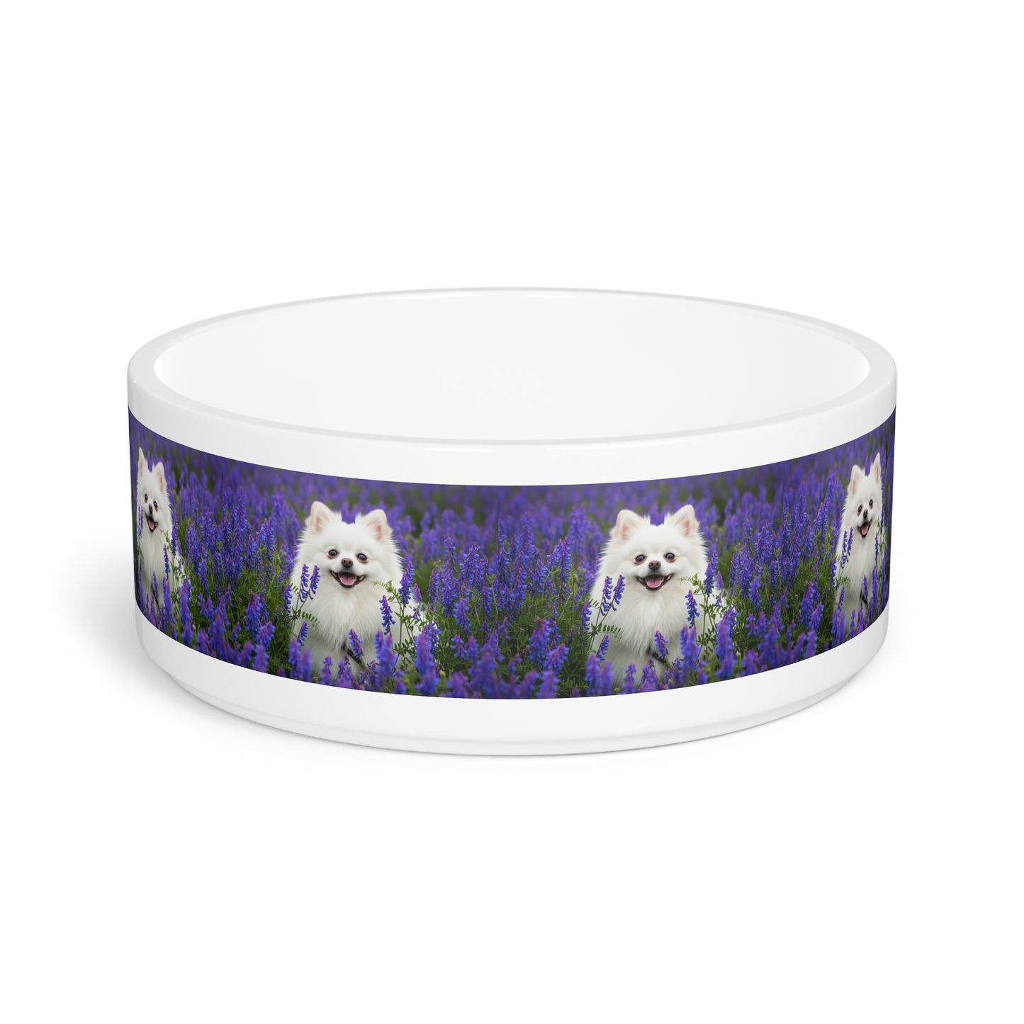 Pomeranian Pet Bowl