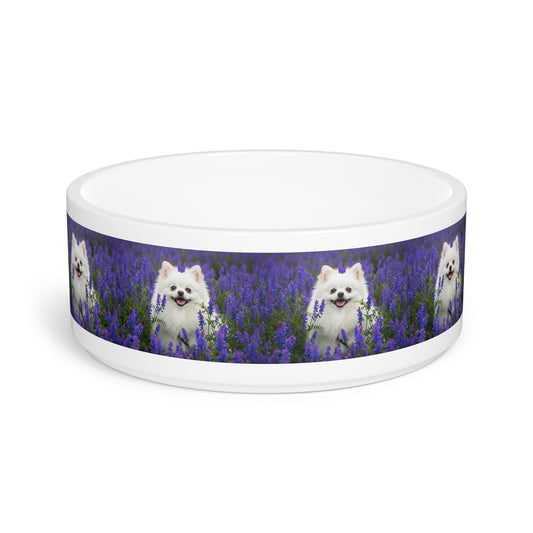 Pomeranian Pet Bowl