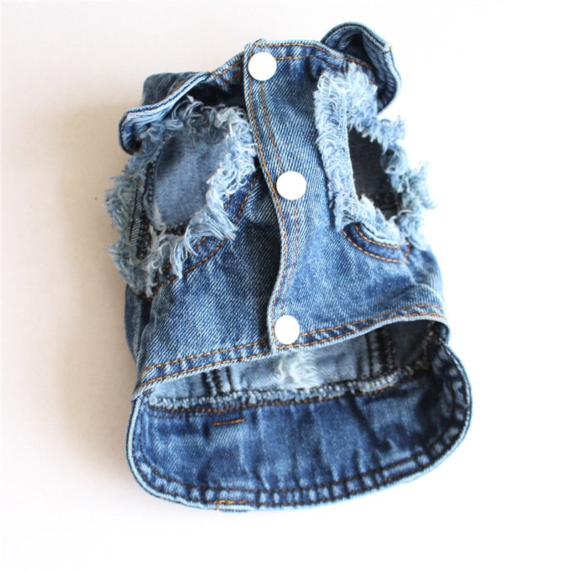 Chaqueta vaquera azul para perro y gato, abrigo y chaleco 