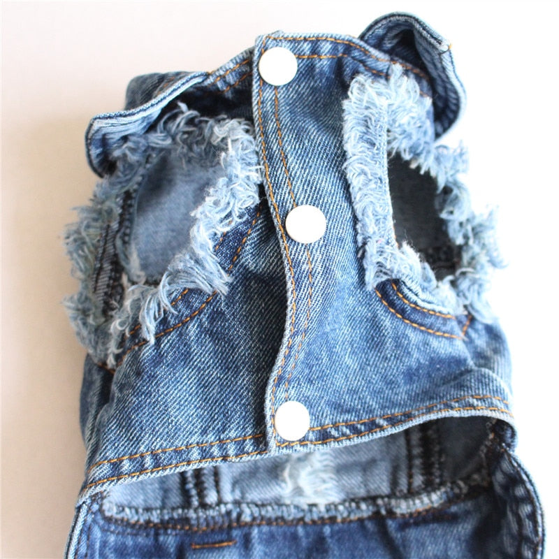 Chaqueta vaquera azul para perro y gato, abrigo y chaleco 