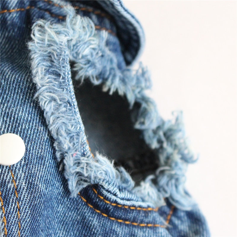 Chaqueta vaquera azul para perro y gato, abrigo y chaleco 