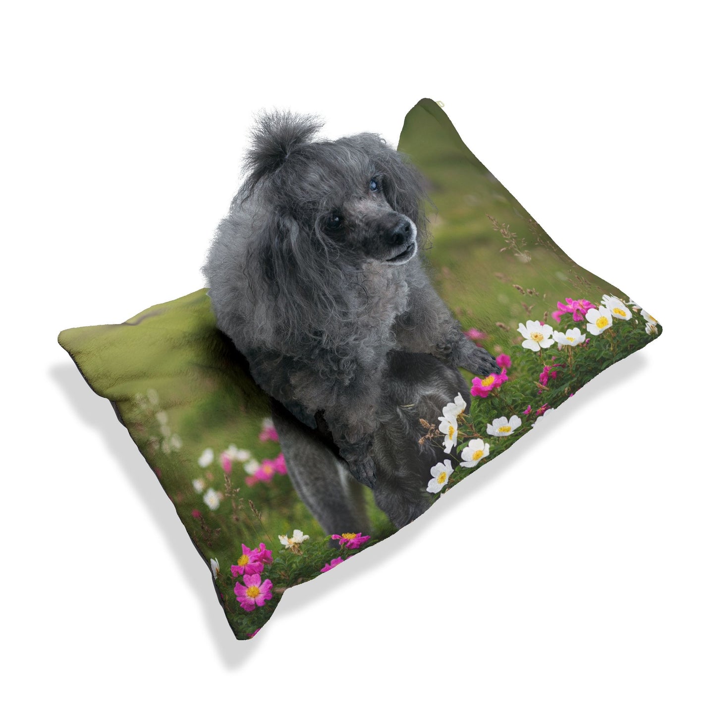 Giant Schnauzer Pet Bed
