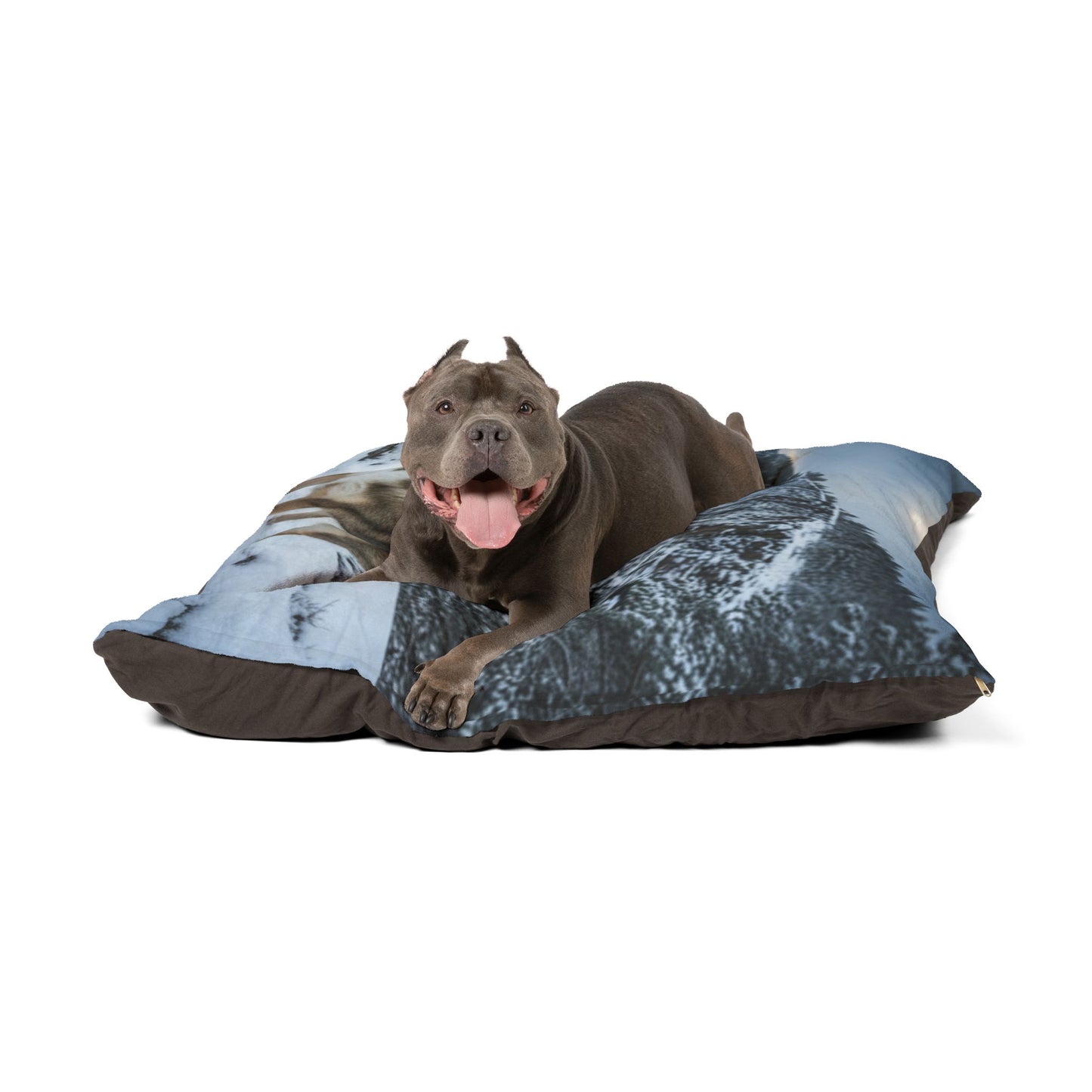 Swedish Vallhund Pet Bed