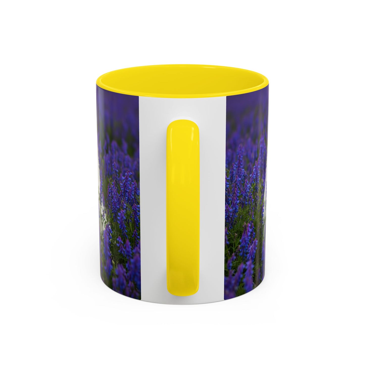 Mug à café avec motif Poméranien - Le cadeau idéal pour les amoureux des chiens