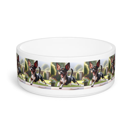 Rat Terrier Pet Bowl