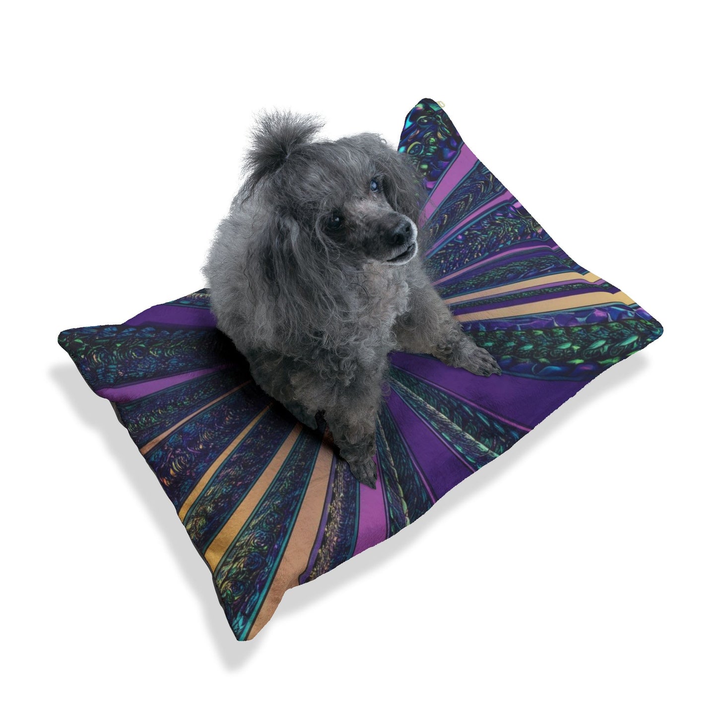 Optical Illusion Pet Bed