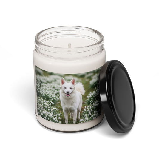 Volpino Italiano- Scented Soy Candle, 9oz