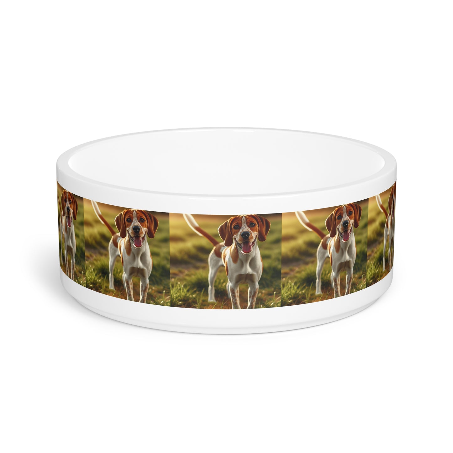 Bracco Italiano Pet Bowl