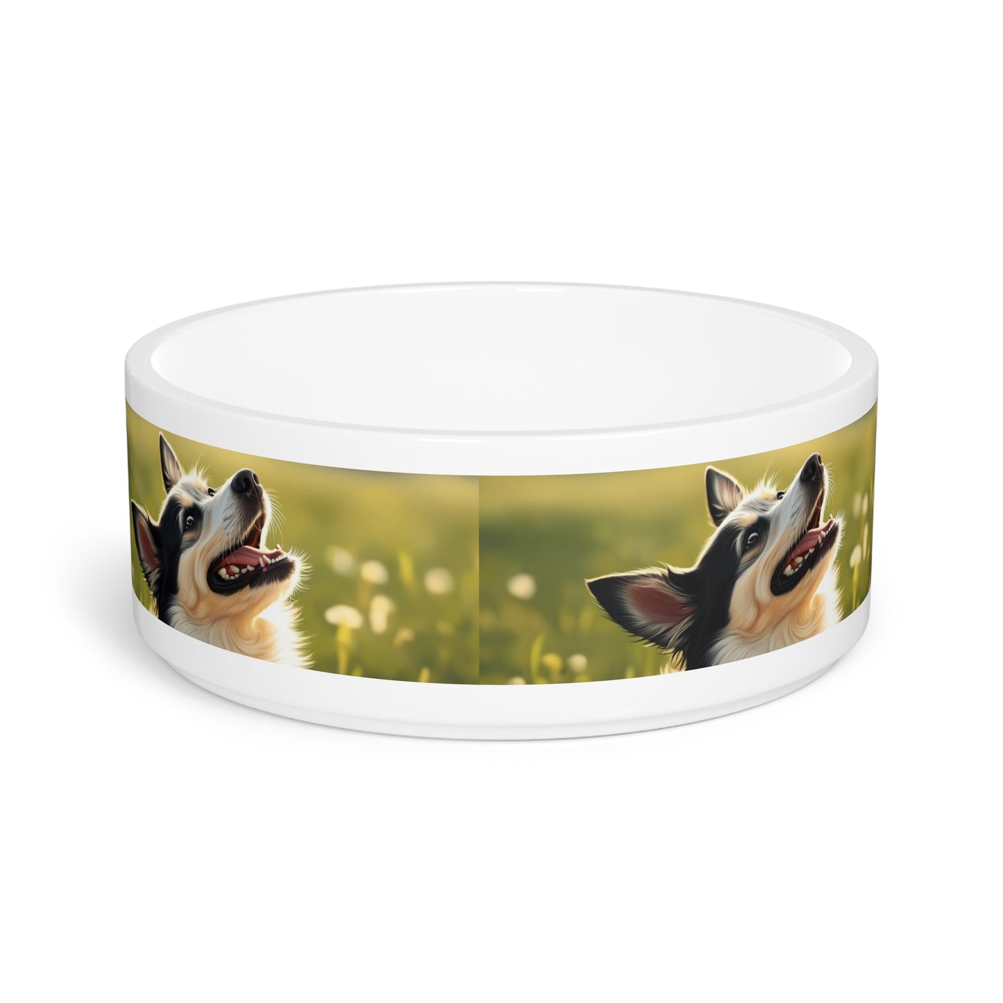 Swedish Vallhund Pet Bowl