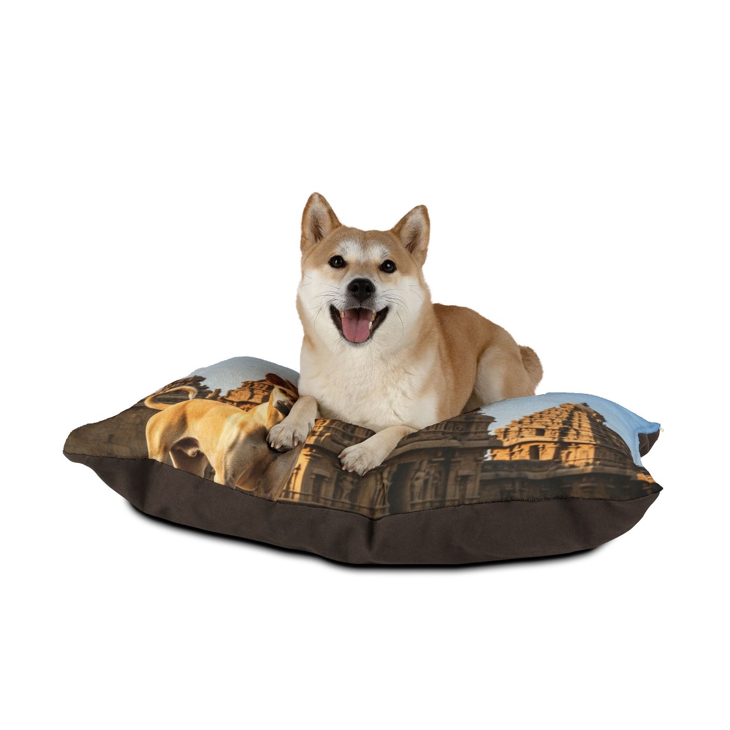 Chippiparai Pet Bed