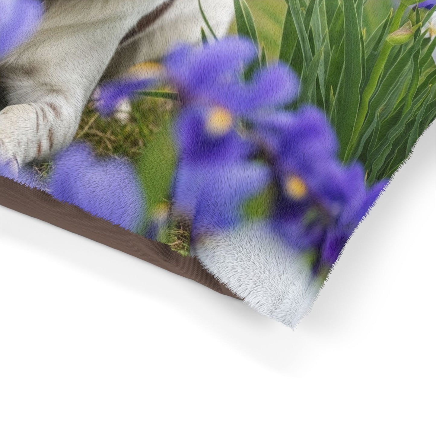 Lit pour animaux Stabyhouns