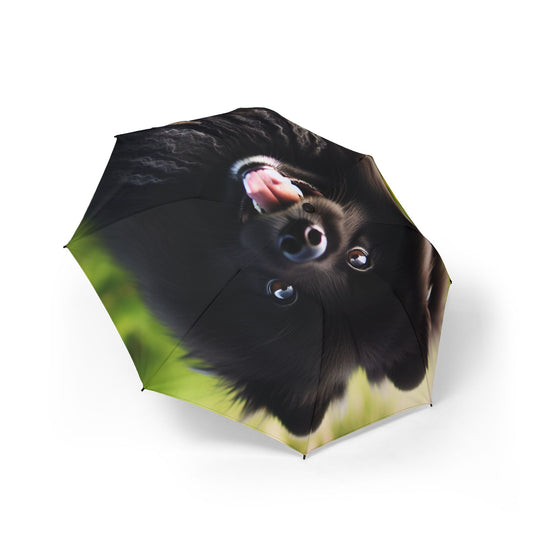 Swedish Lapphund Semi-Automatic Foldable Umbrella