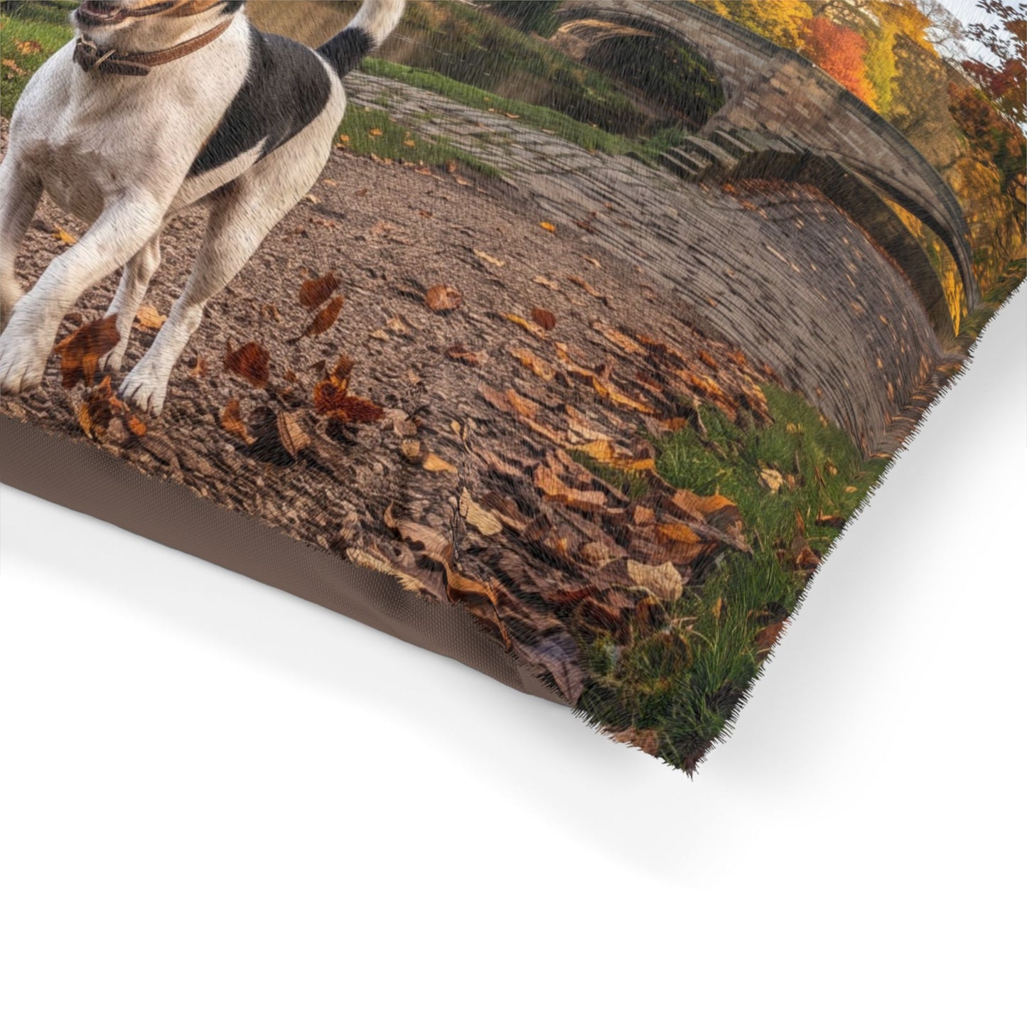 Jack Russell Terrier Pet Bed