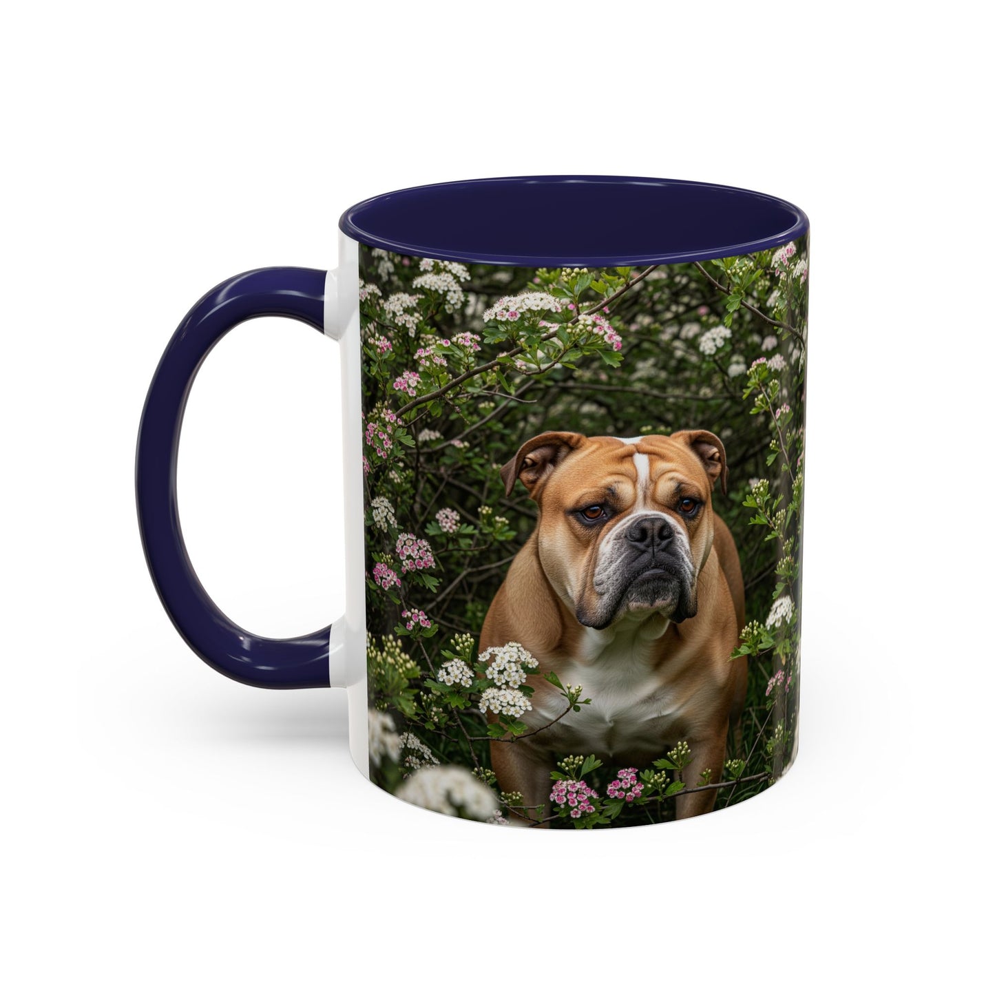 Mug à café Olde English Bulldogge Accent - Cadeau idéal pour les amoureux des chiens